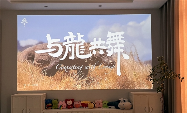 卧室投影仪选购推荐！这四款闭眼入不踩雷p