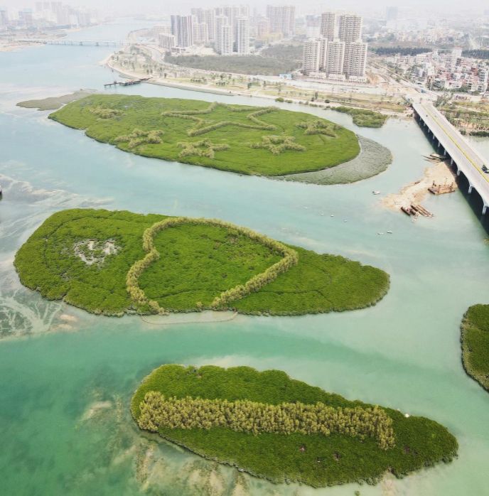 境与生态学院教授卢昌义逝世pg电子试玩平台厦门大学环(图4)